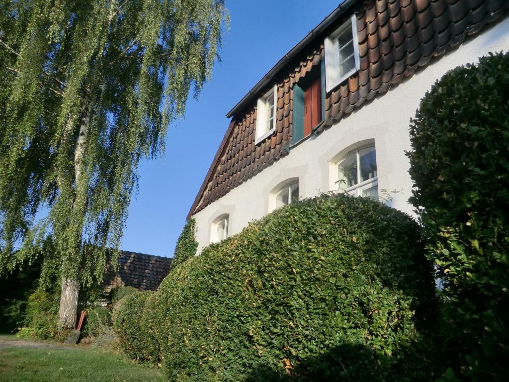 una casa con un gran seto delante de ella en Fachwerkhaus Julius en Lehrte