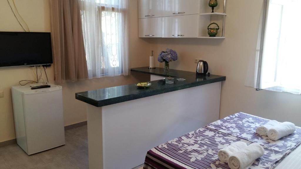 Kuchyň nebo kuchyňský kout v ubytování Guest House Kldiashvili