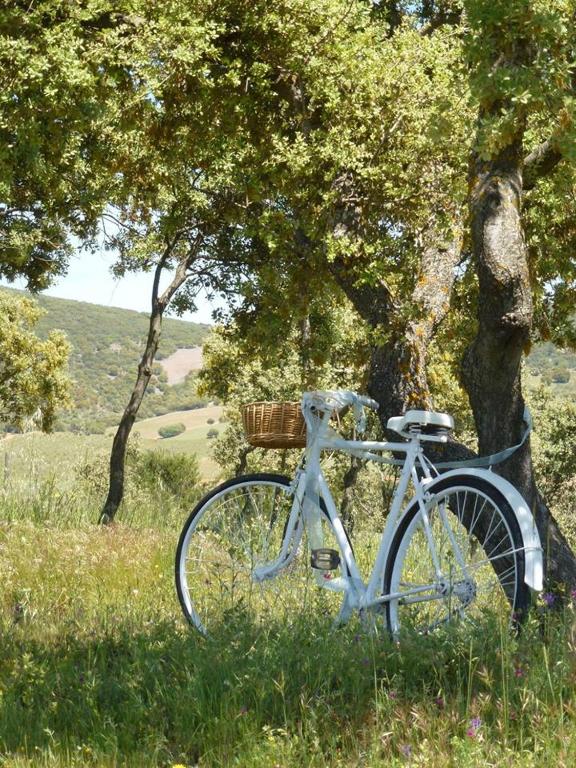 Jazda na bicykli v okolí ubytovania El Rincon del Cerrillo