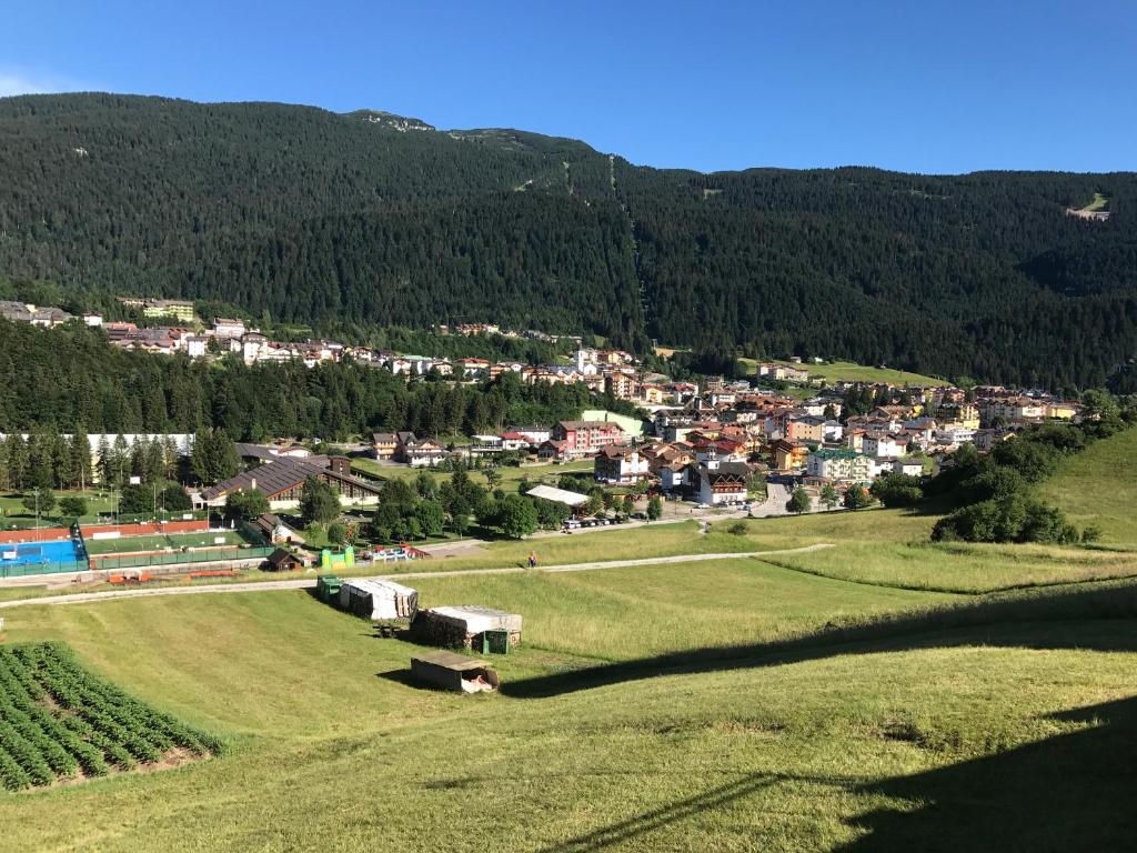 Příroda nedaleko apartmánu
