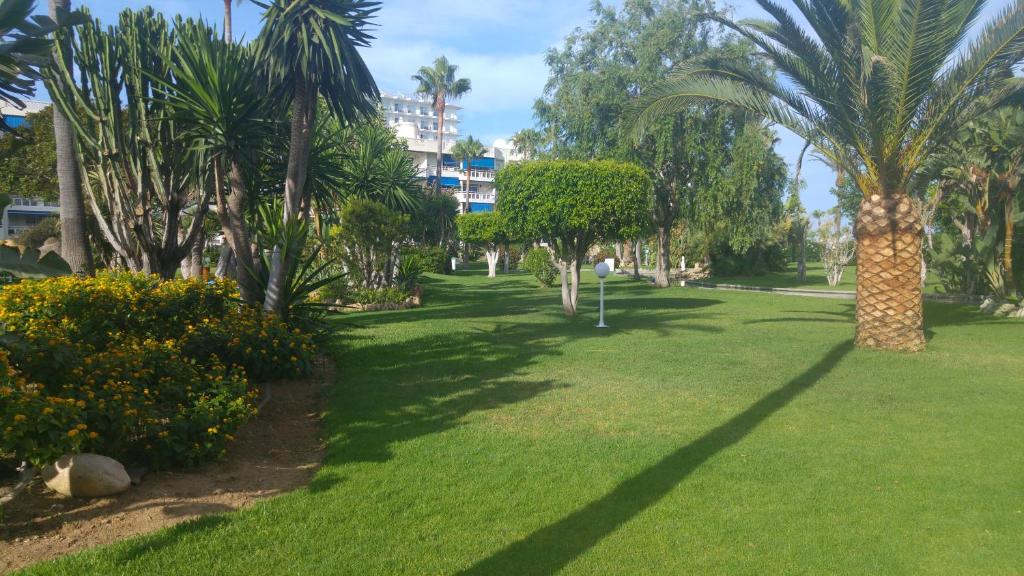 Fotografie z fotogalerie ubytování Apartamento Playasol Garden v destinaci Torremolinos