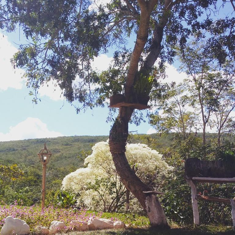  Pousada Florada na Serra