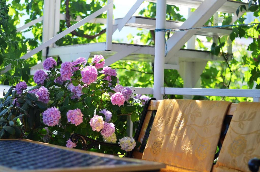 Фото Zhannet Guest House