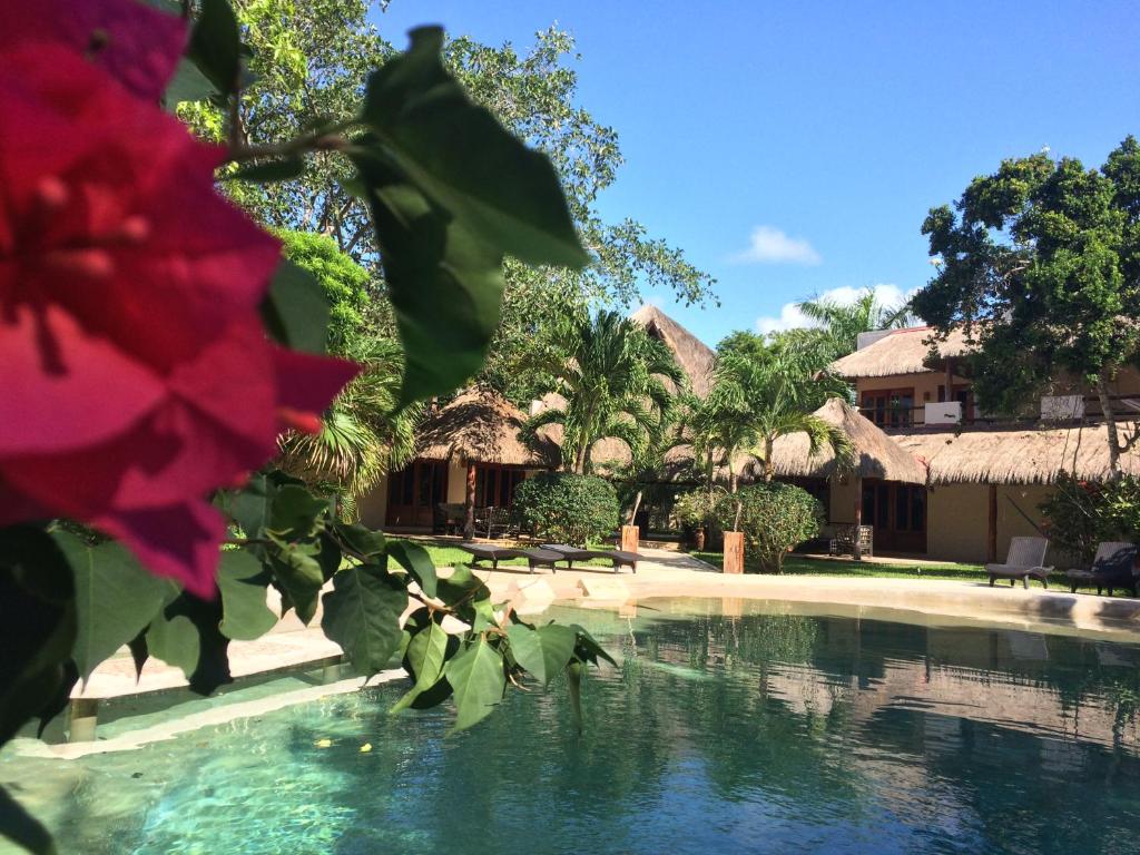 a view of a swimming pool at a resort at La Villa Mexicana by Diving Prestige in Xpu Ha