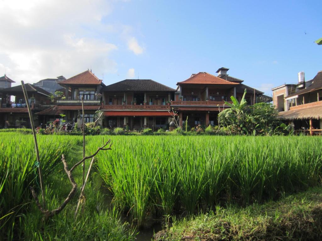 a rice field in front of a house at Danasari Homestay in Ubud
