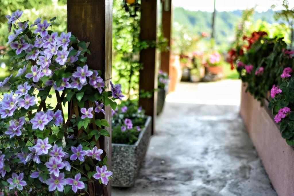 Zahrada ubytování B&B Cascina Ciapilau
