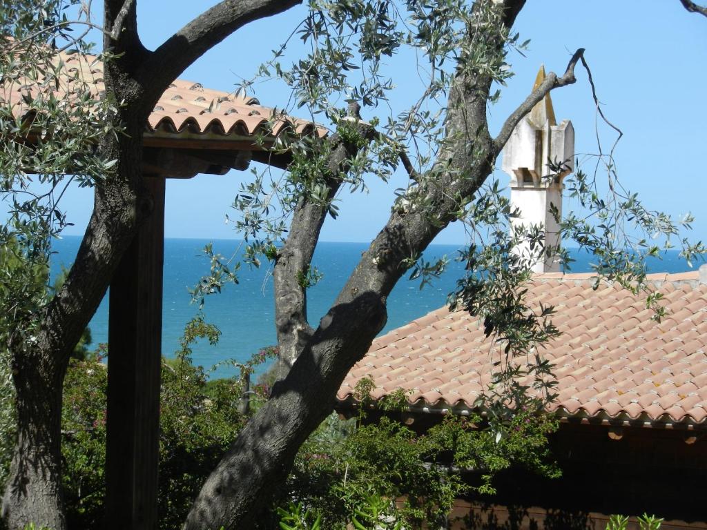 uma árvore em frente a uma casa com o oceano no fundo em Tenuta Molino di Mare em Rodi Garganico