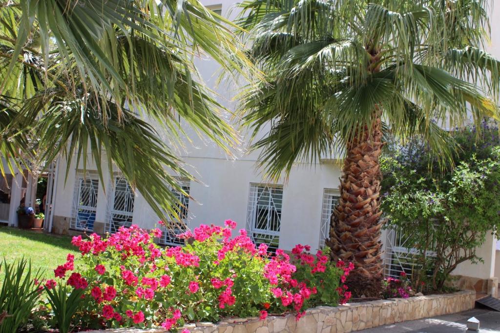 un palmier et des fleurs devant un bâtiment dans l'établissement Hotel Oreneta, à Altafulla