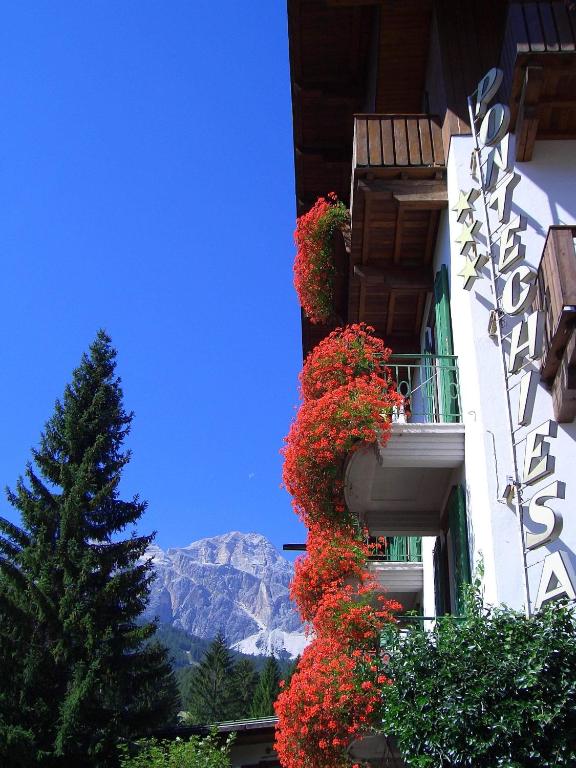 Nespecifikovaný výhled na hory nebo výhled na hory při pohledu z hotelu