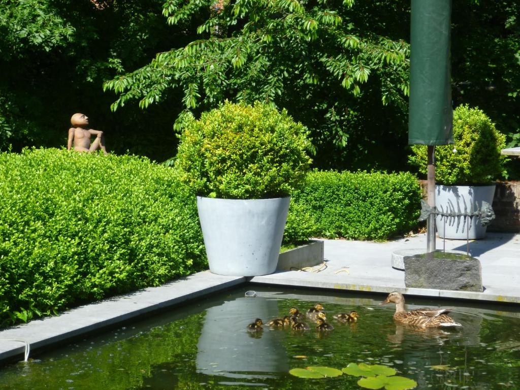 Zahrada ubytování B&B Speelmansrei