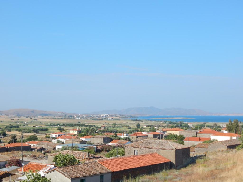 Andreas Studios - отзывы и видео