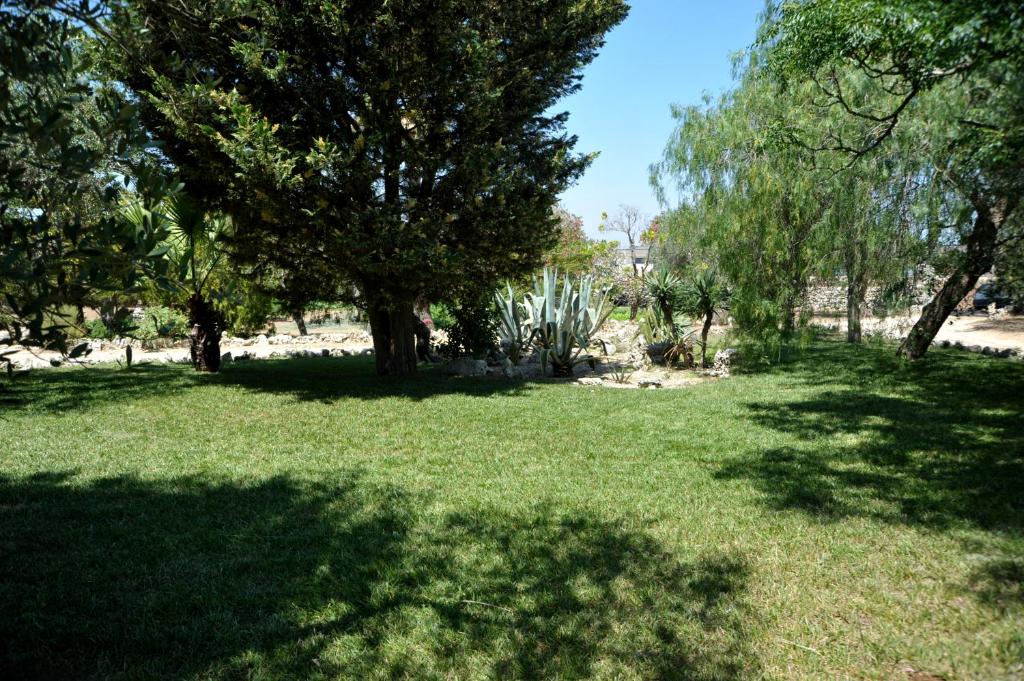 ジュルディニャーノにあるVacanze al Minciの木々と緑草と木々のある公園