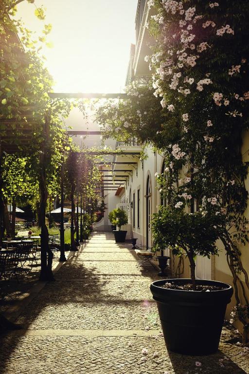 Jardin de l'établissement The Vintage House - Douro