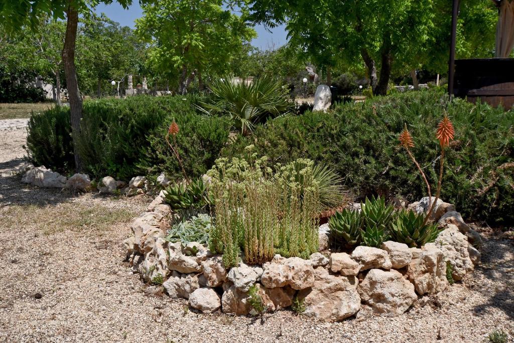 Zahrada ubytování Masseria Pitanni