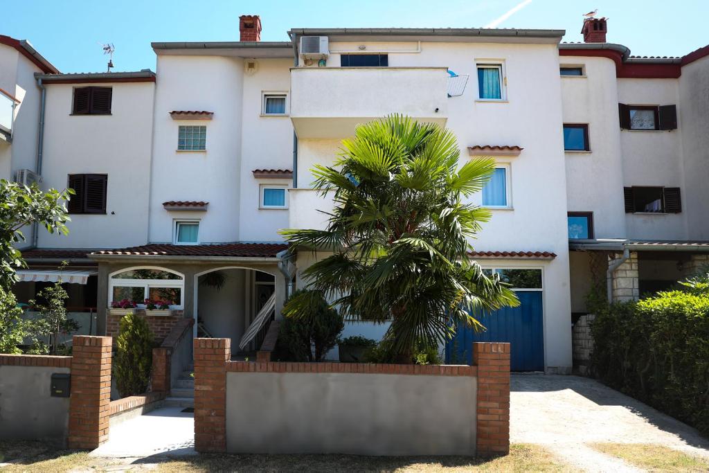 a house with a palm tree in front of it at Guesthouse ROCK & ROLL in Rovinj