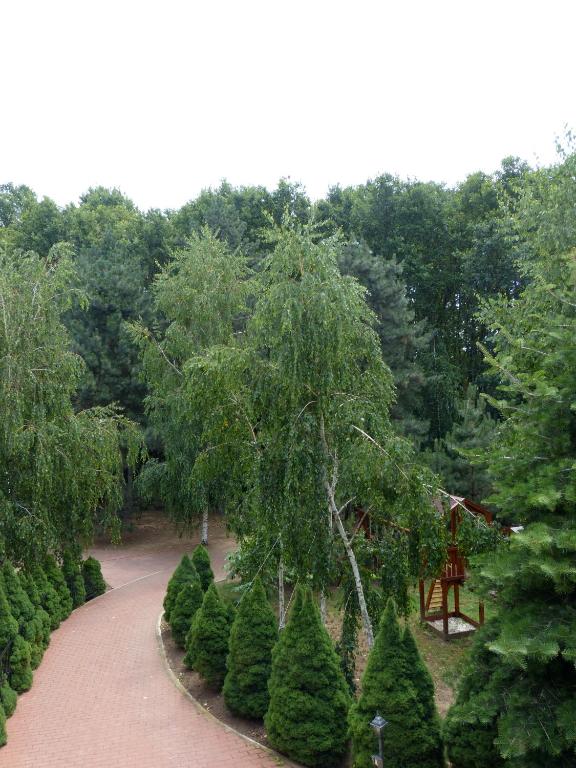 Zahrada ubytování Park7