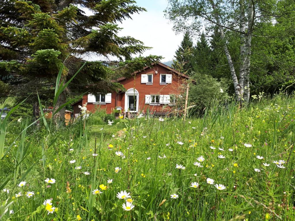 a field of flowers in front of a house at Chalet Chic mit Hot Pot in Wildhaus