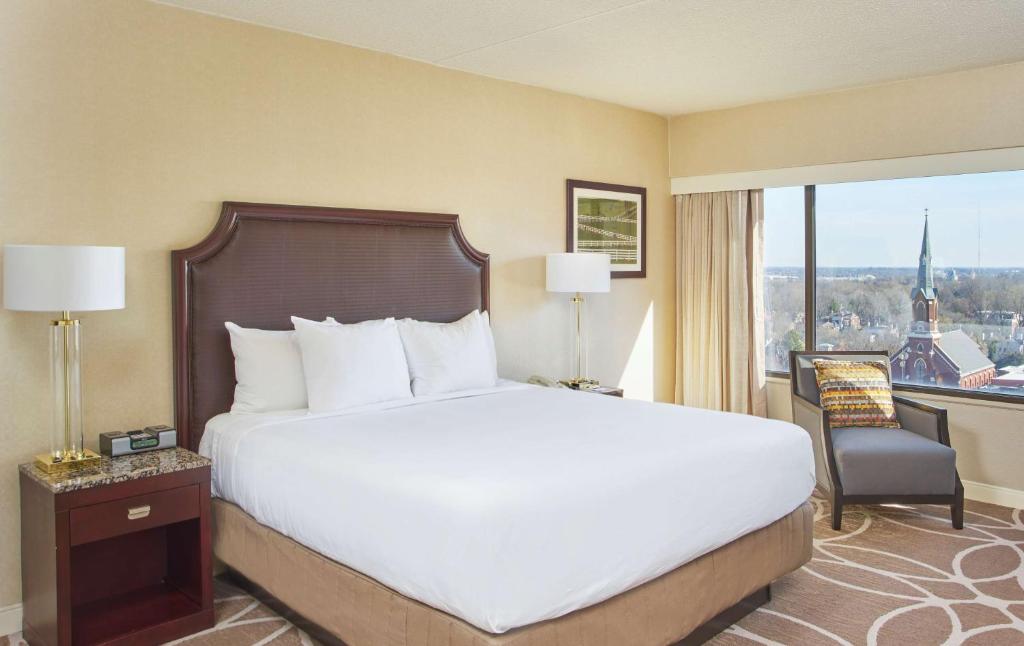 Hyatt Regency Lexington - Allergie Vriendelijke Koning Kamer