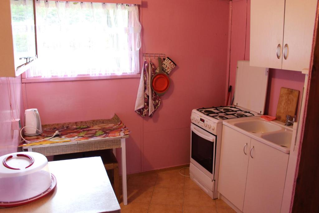 a small kitchen with a stove and a sink at Domek Letniskowy Brożówka in Kruklanki