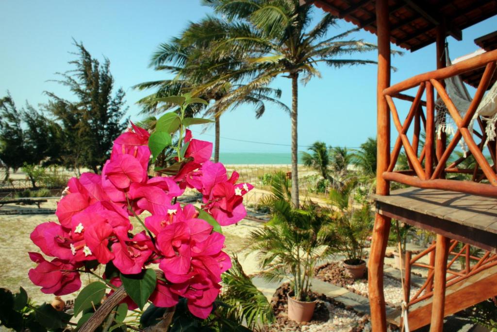 a bunch of pink flowers in front of a beach at Paraiso da Barra in Barra Grande