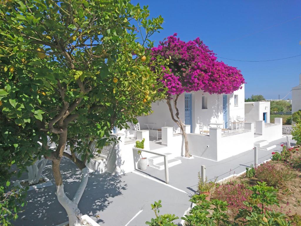 una casa blanca con árboles con flores rosas en Klironomos Apartments Logaras, en Logaras