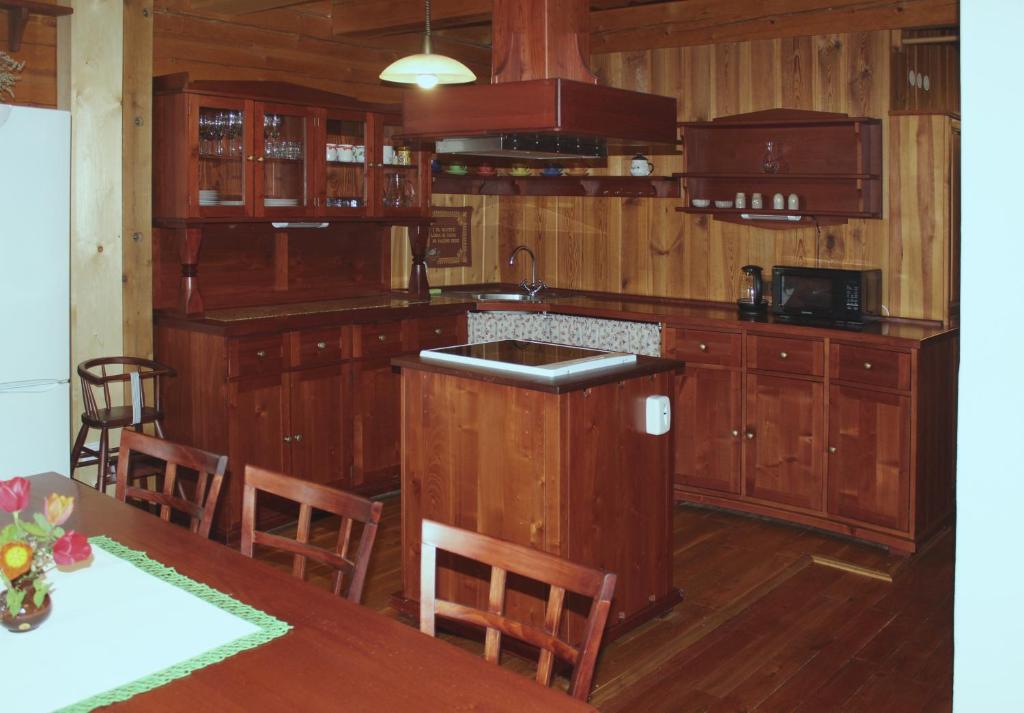 Kuchyň nebo kuchyňský kout v ubytování Apartmán ve Skanzenu