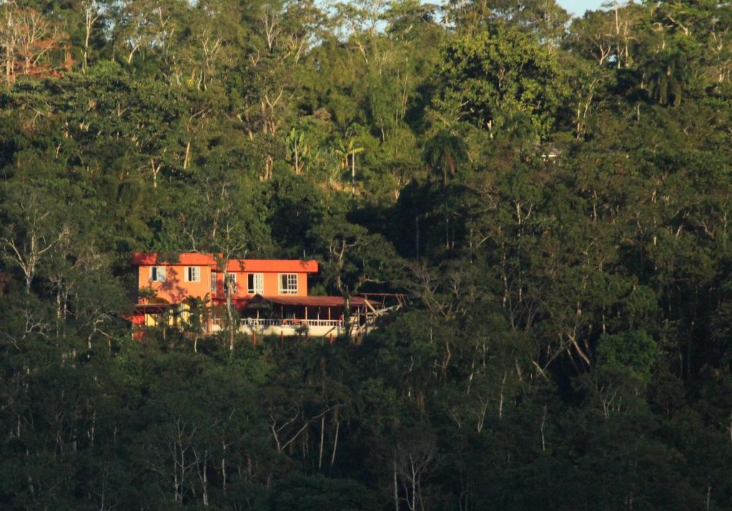 a house on the side of a hill with trees at Hostal Tena Ñaui in Tena