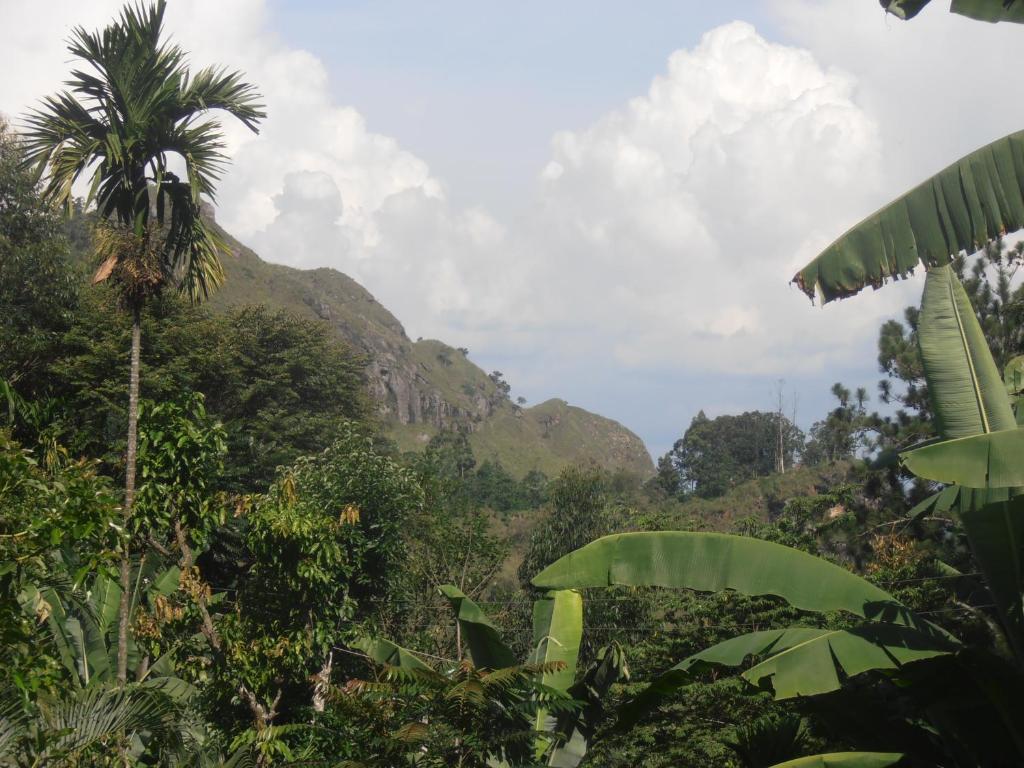 Littleadams View - 9