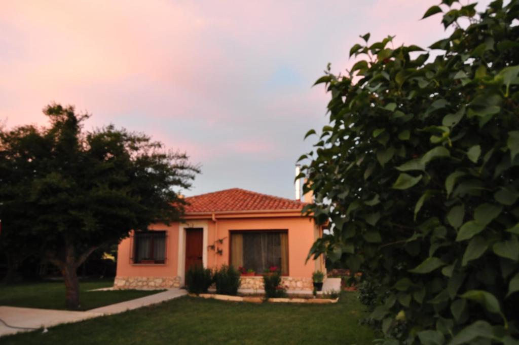 A garden outside El Jardin de Manuela
