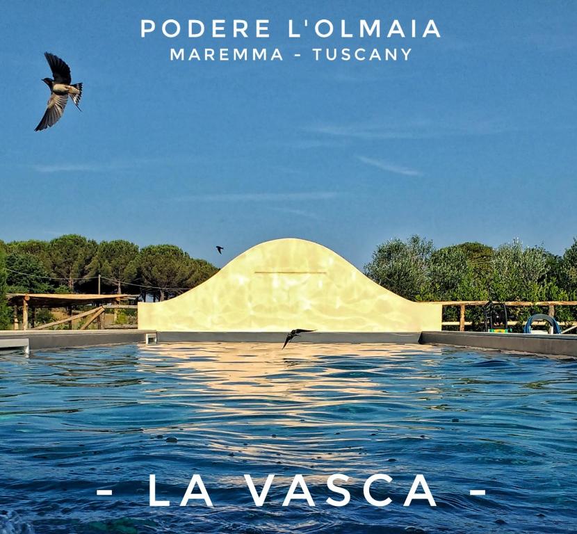 un parque de patinaje con una gran piscina de agua en Podere L'Olmaia, en Marsiliana