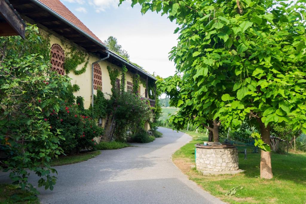 einen Weg, der zu einem Gebäude mit einem Baum führt in der Unterkunft Turistična kmetija Vrezner Apartment in Zgornja Kungota