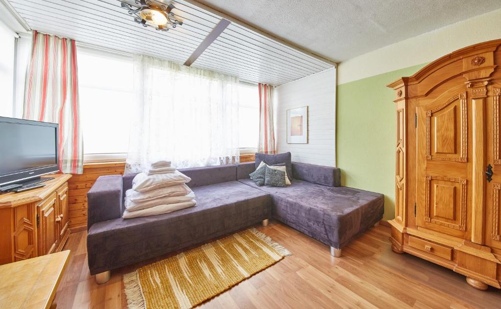 TV a/nebo společenská místnost v ubytování Appartements Alpin