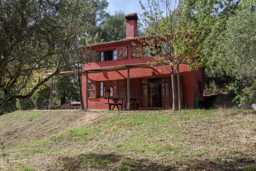 Vonkajšia záhrada v ubytovaní Finca Montemateo