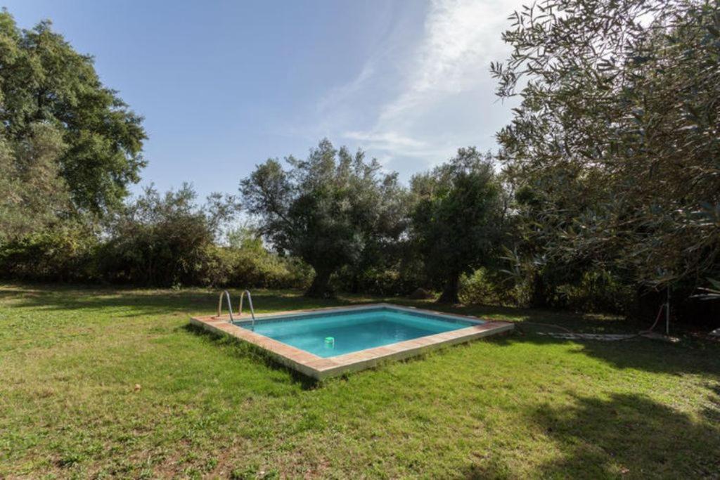 Bazén v ubytovaní Finca Montemateo alebo v jeho blízkosti