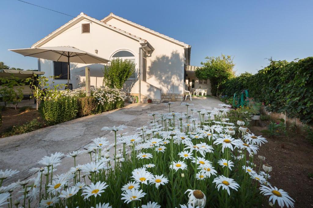 un jardin de daisies devant une maison dans l'établissement Cozy apartment Josipa, à Privlaka