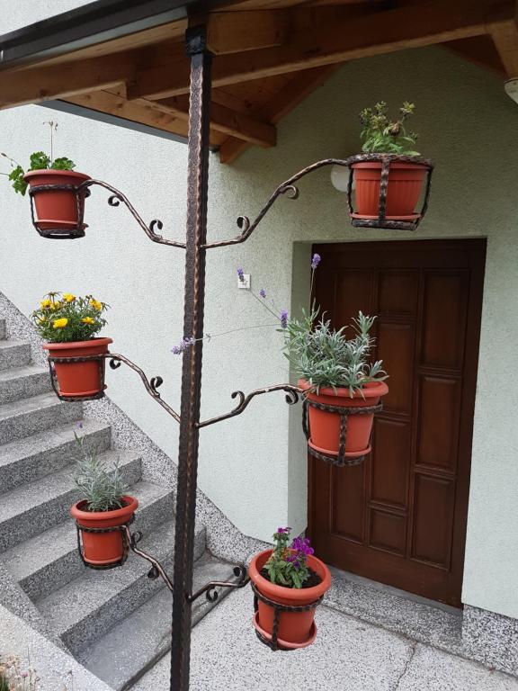 Zahrada ubytování Guest house Dinka