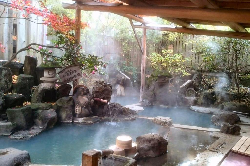 a pool of water with a waterfall in a garden at Onyado Hishiya Torazo in Yamanouchi