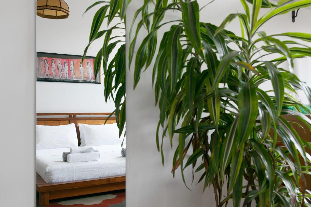 Buonocore Guesthouse - 12