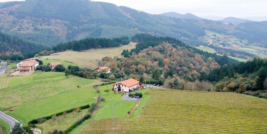 une vue aérienne sur une maison dans un champ dans l'établissement H&AP Rural Merrutxu, à Ibarrangelu