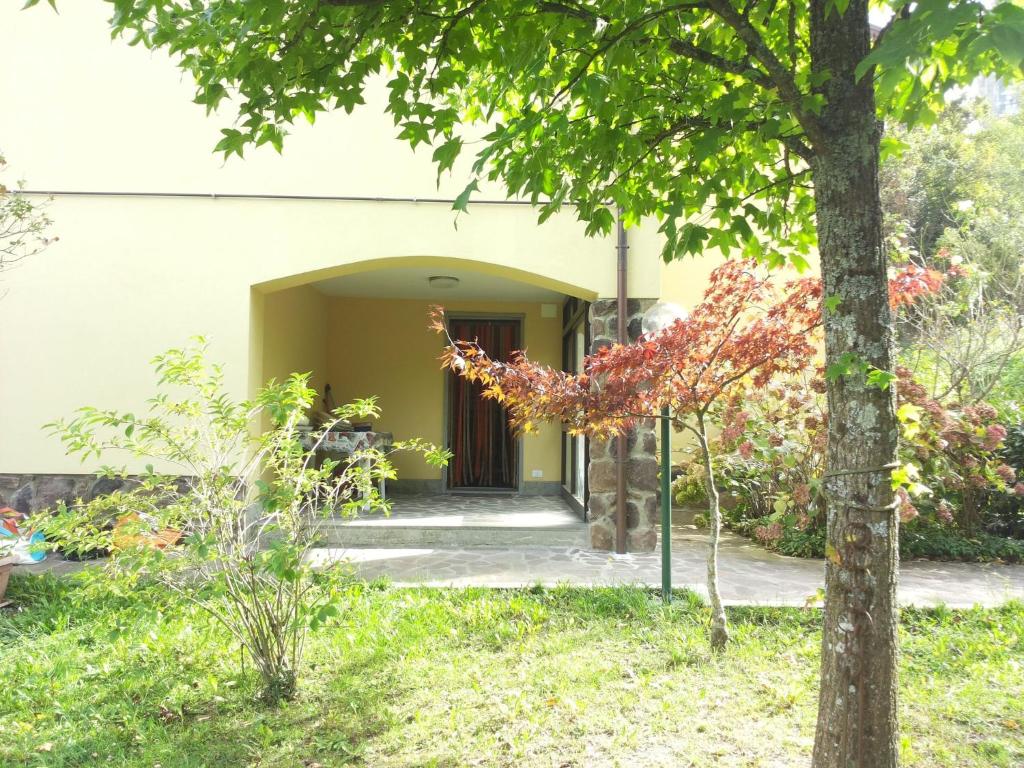 a front entrance to a house with a tree at Belvilla by OYO Casa Via Pieve in Ponte della Venturina