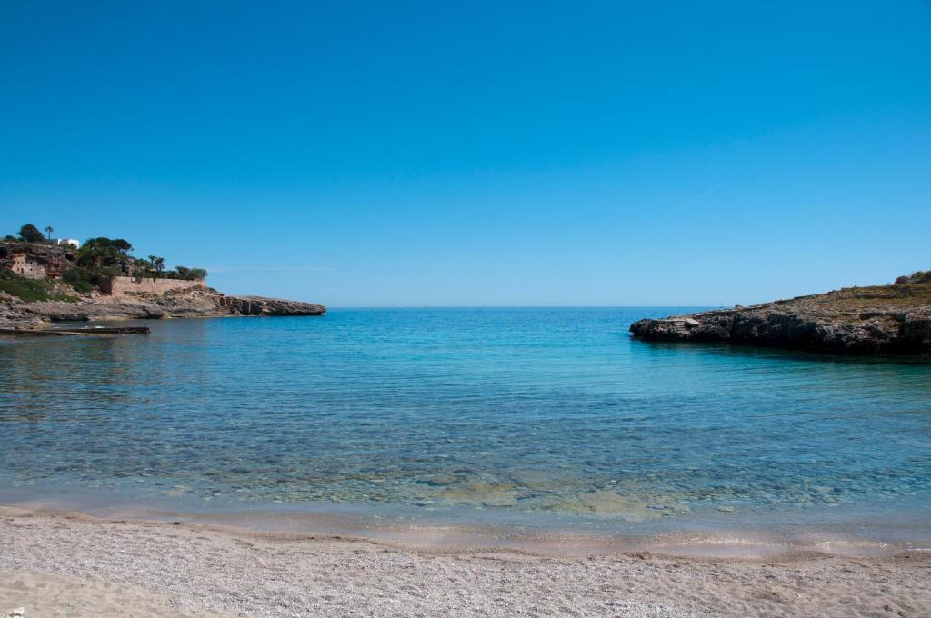 Φυσικό τοπίο κοντά σε αυτό το ξενοδοχείο