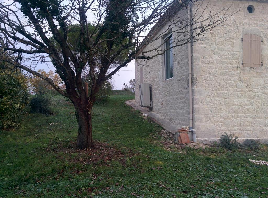a tree in the grass next to a building at Gite de Lafargue in Cazes-Mondenard