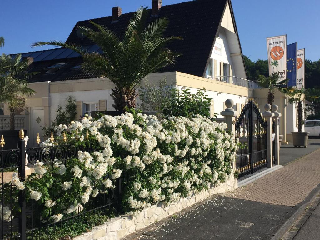Zahrada ubytování Wilsmann Apartmentvermietung