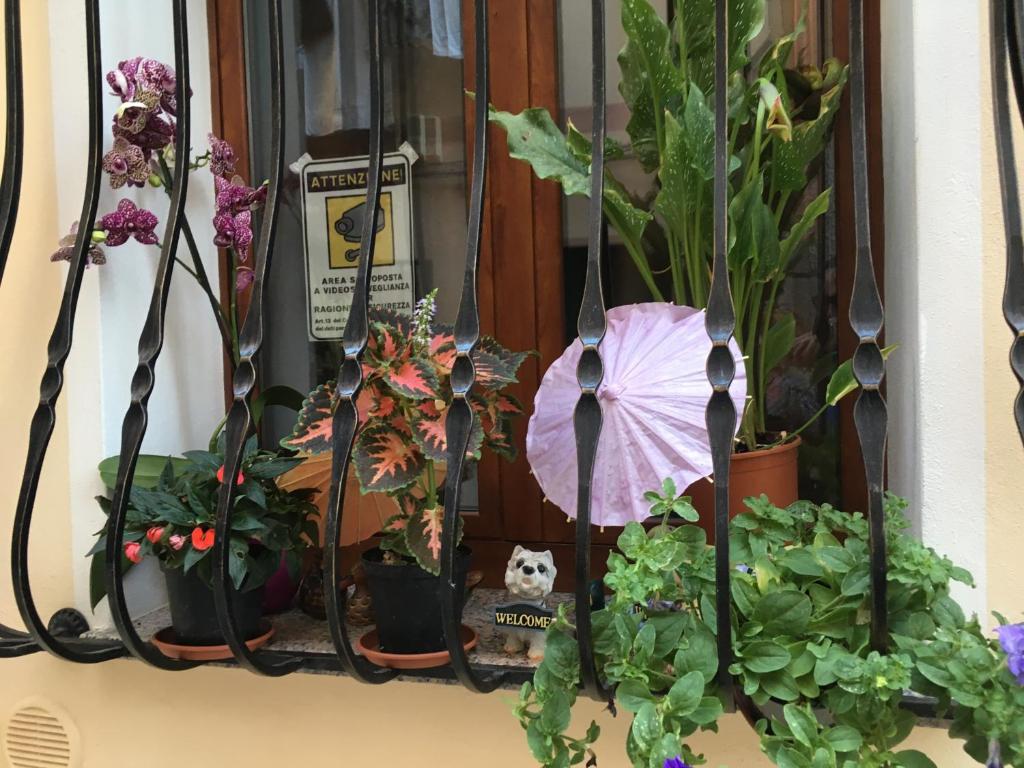 Zahrada ubytování B&B Quintino Sella
