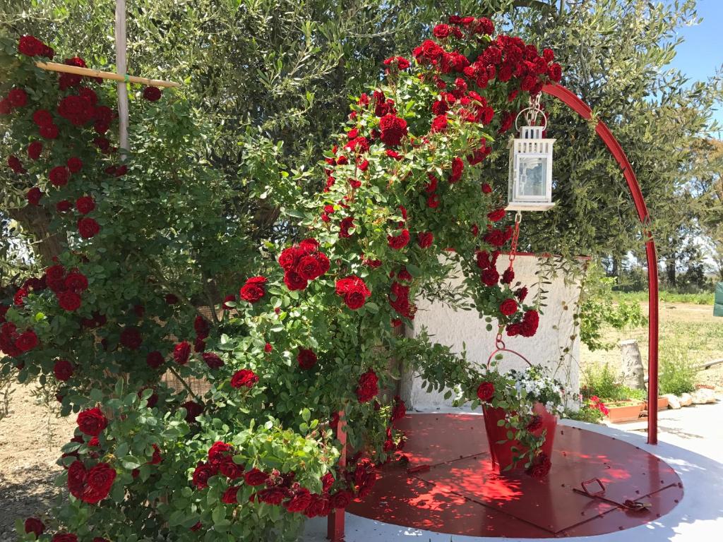 a flower garden with red roses and a bird cage at Villa Cenzina in Marina di Pisticci