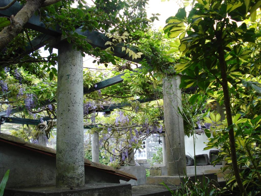 a garden with trees and purple flowers at Quinta das Buganvílias in Castelo Branco