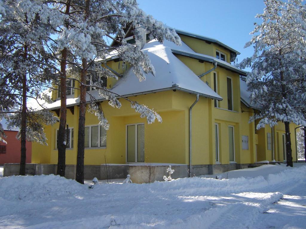 Apartments Beljić v zimě
