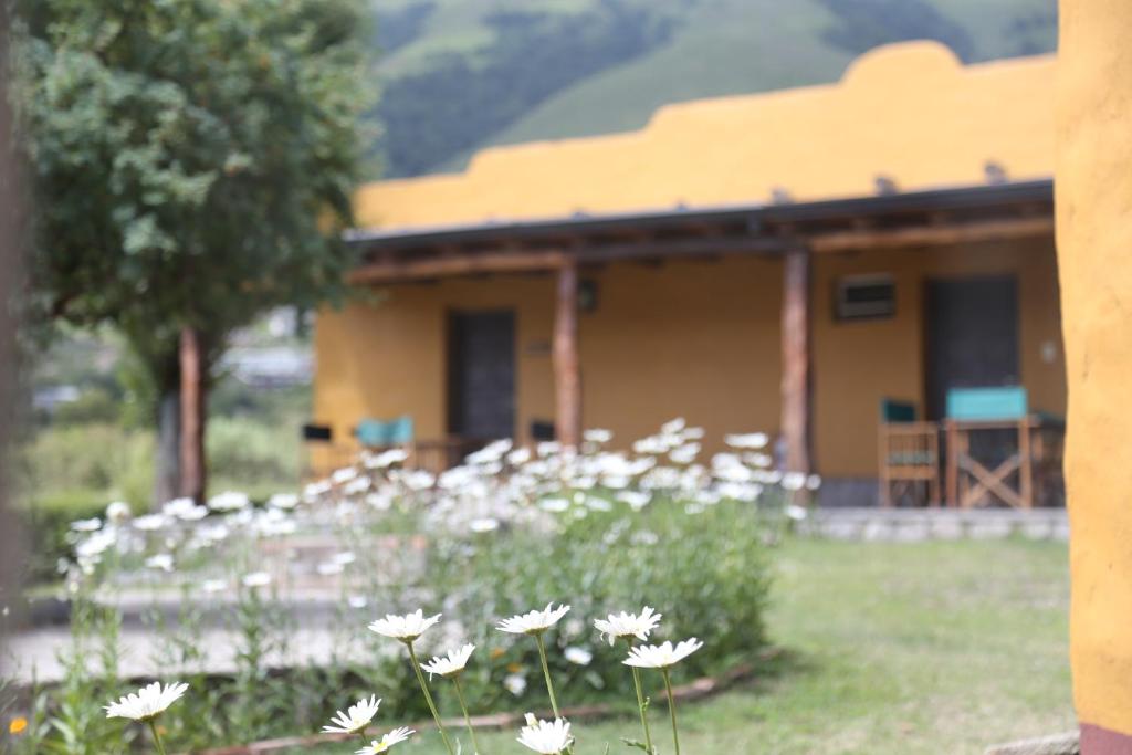 Zahrada ubytování Posada La Guadalupe