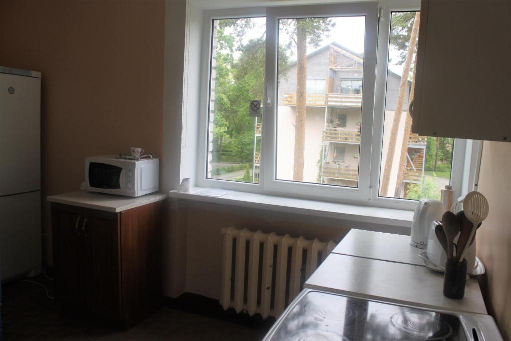 Kuchyň nebo kuchyňský kout v ubytování Laine guesthouse
