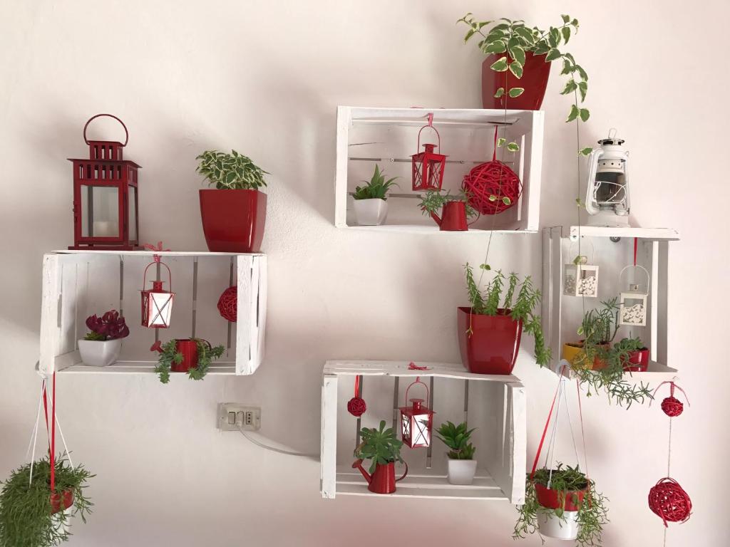 four white shelves with potted plants on a wall at Villa Cenzina in Marina di Pisticci